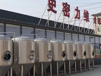 威海精酿啤酒设备厂—市场规模与跨界新需求